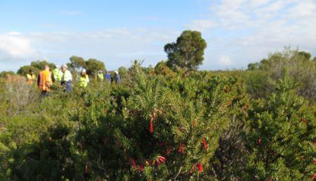 South32, Curtin, WABSI Scholarship