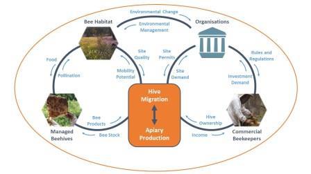 Bee research CRC