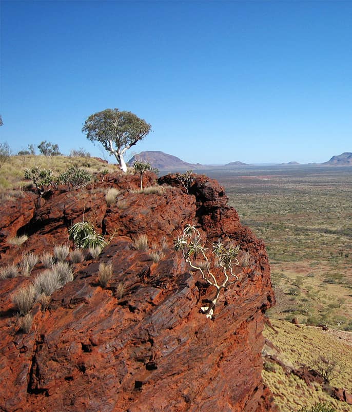 Stygo Assessing stygofaunal resilience - The Western Australian Biodiversity ...