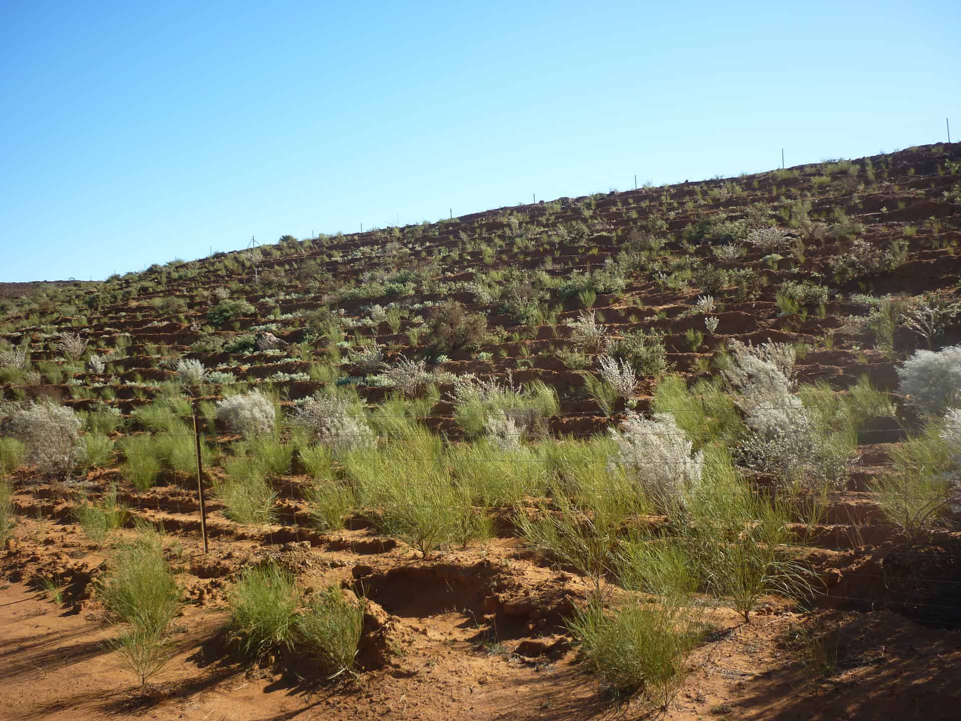 mine-rehabilitation-closure-the-western-australian-biodiversity