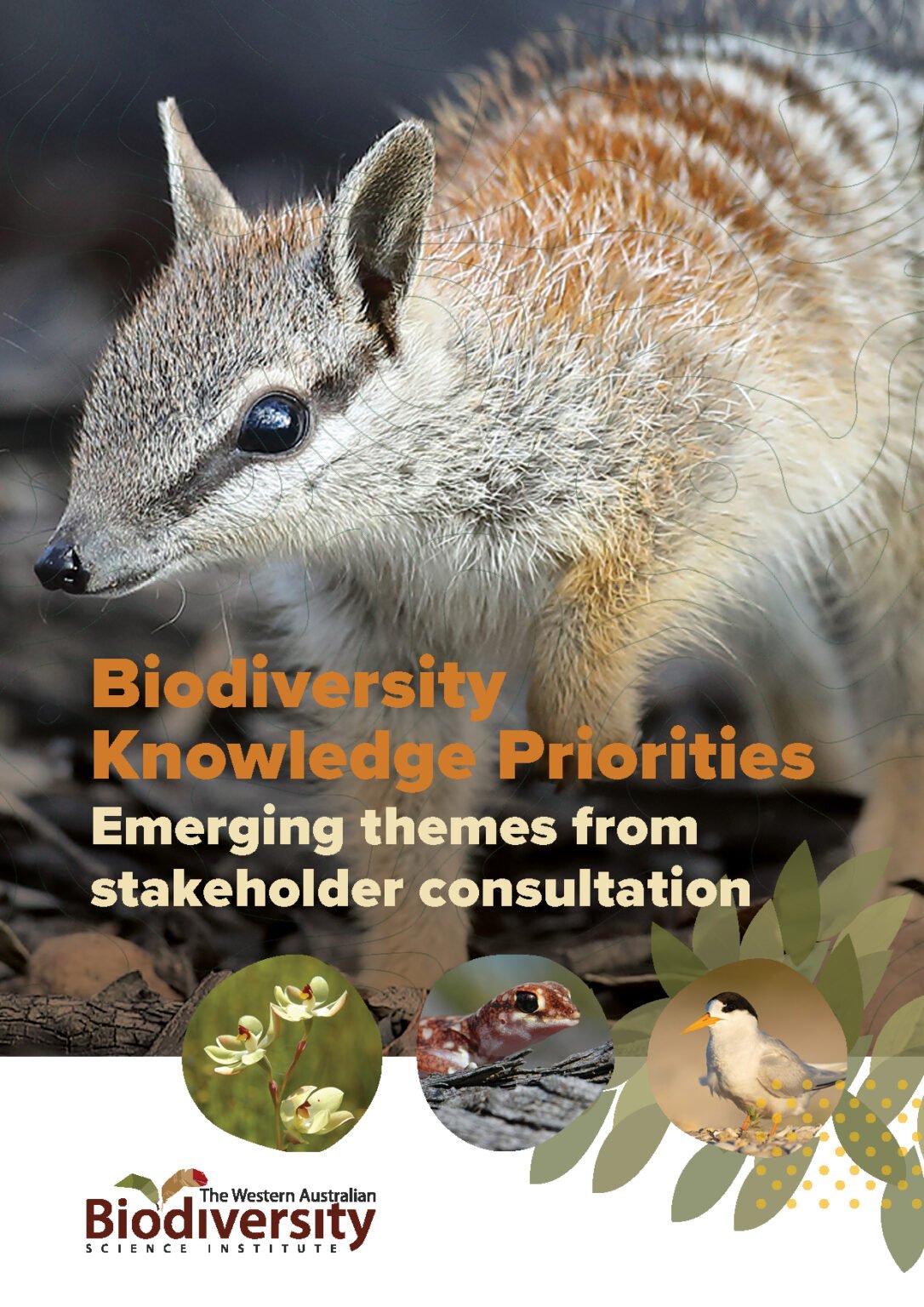 Understanding+biodiversity+as+an+emerging+asset+class