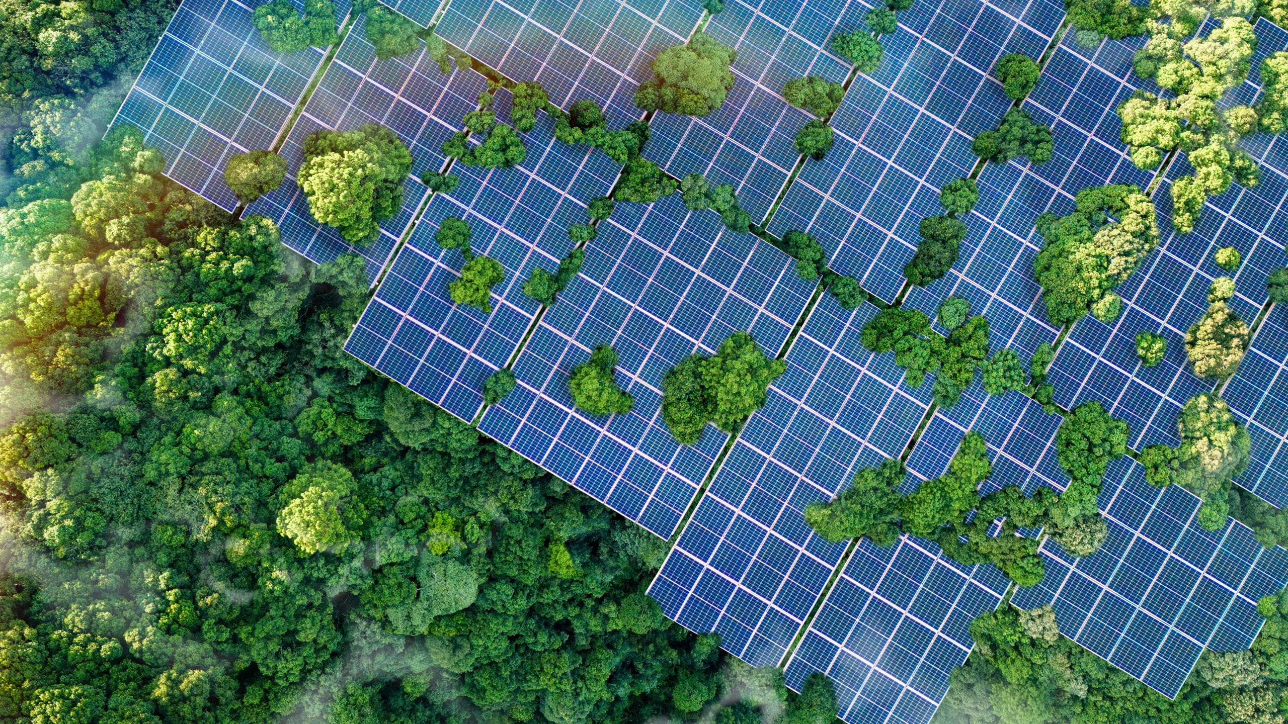 Webinar: Horizon scanning for conservation - The Western Australian ...